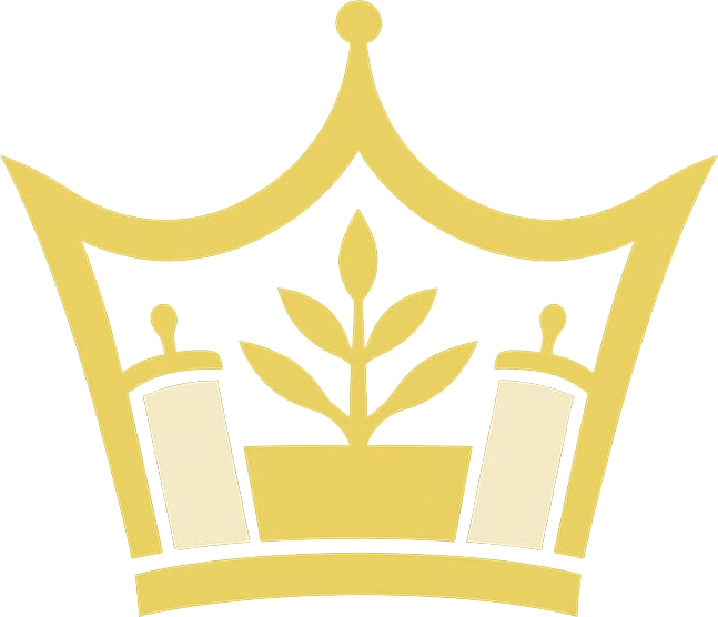 Outreach Torah